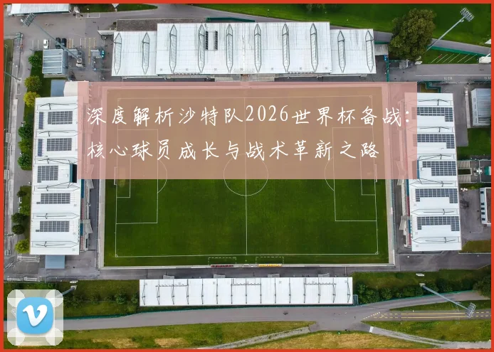 深度解析沙特队2026世界杯备战：核心球员成长与战术革新之路